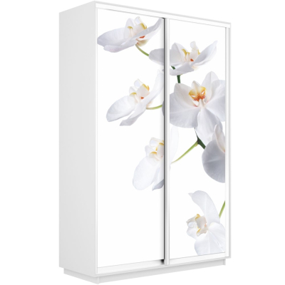 Экспресс 2-х дверный (Фото№1025 Орхидея белая)